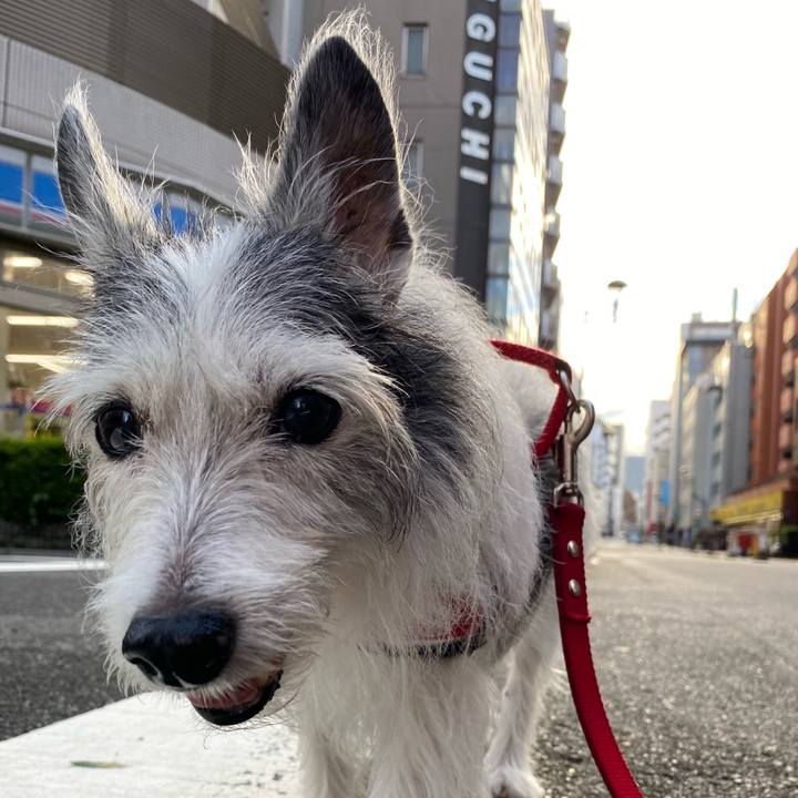 96a442f2 e895 4cf9 9ee6 914a9ea5aba0 1632049856537