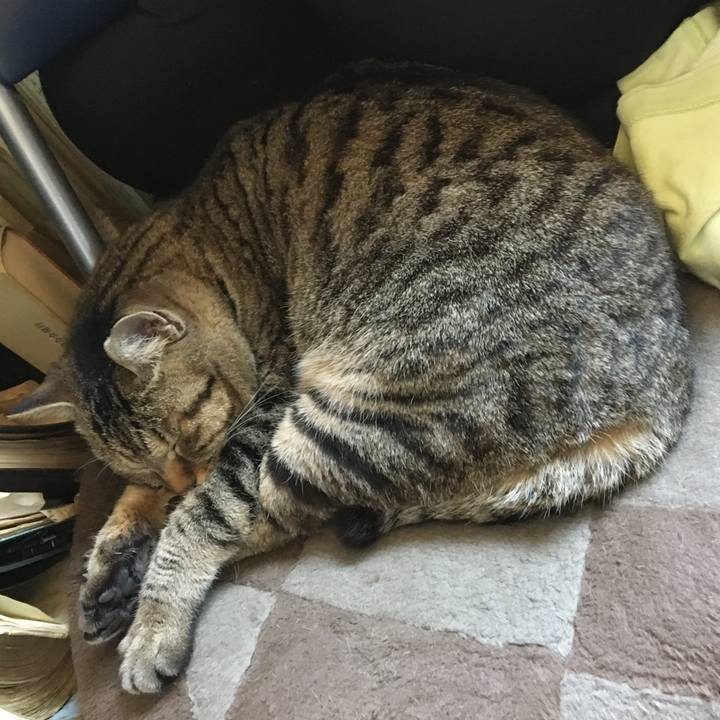 96a4529b ec9c 416c 98c6 d06358e71939 1524323396472