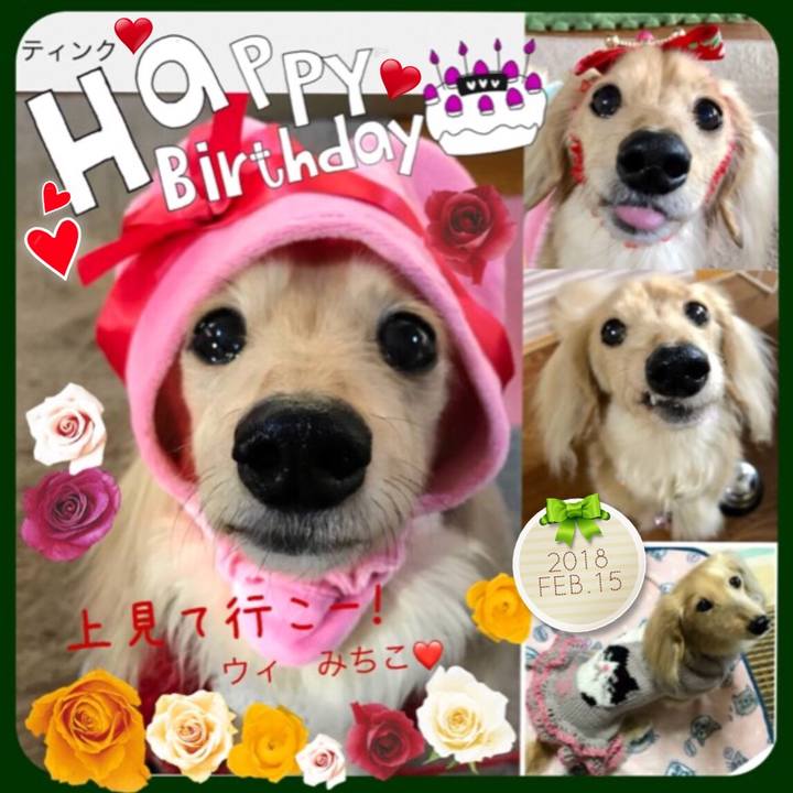 96a4645b de19 4615 af30 3ecc433ff392 1518641153883