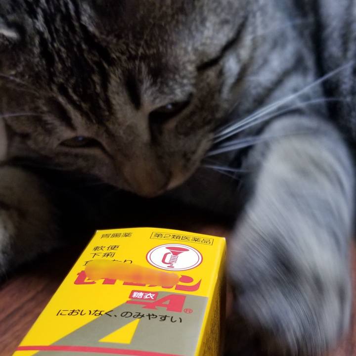 96a4778f 4659 4fa3 ac6e 6011205b32ab 1688909623253