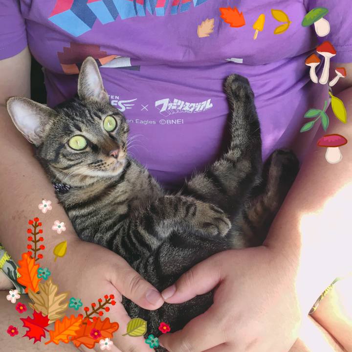 96a486fd 708e 4bdd 9df7 f1ebdec66c5f 1568697343672