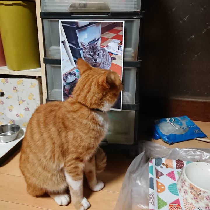 96a4df6e 9b5b 4610 9be6 4d4713b0539e 1600373838788