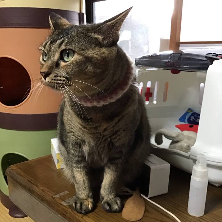 96a4e5a1 0cf0 4f53 8d1b b50d6994dc87 1691411070490