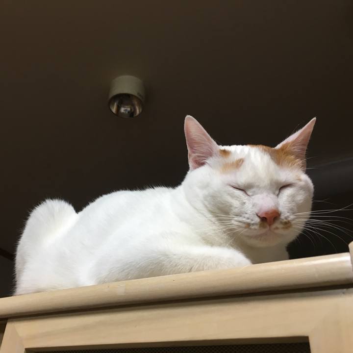 96a51f01 70dd 47ea a640 d94b8ff32747 1521386225236