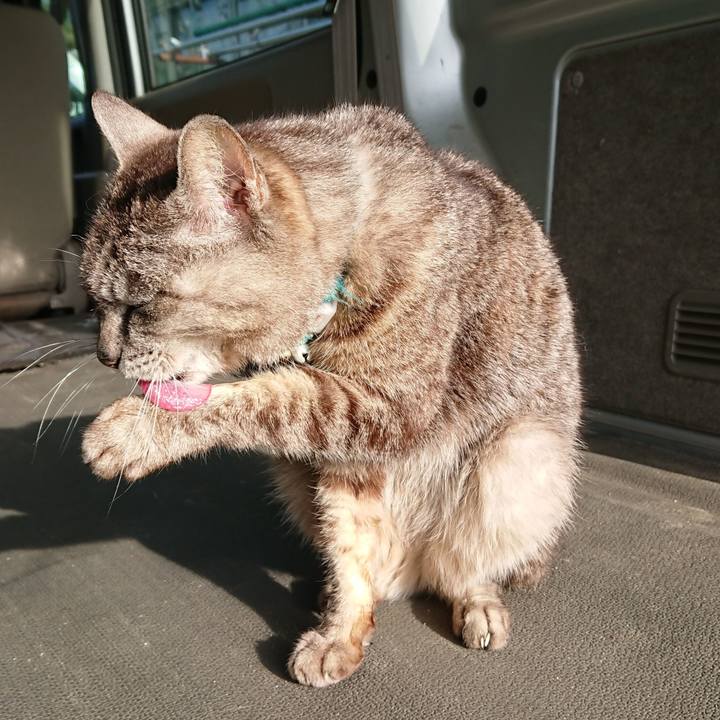 96a5b71c ec8d 43df 89e6 eb2ebc2578c8 1560807977233