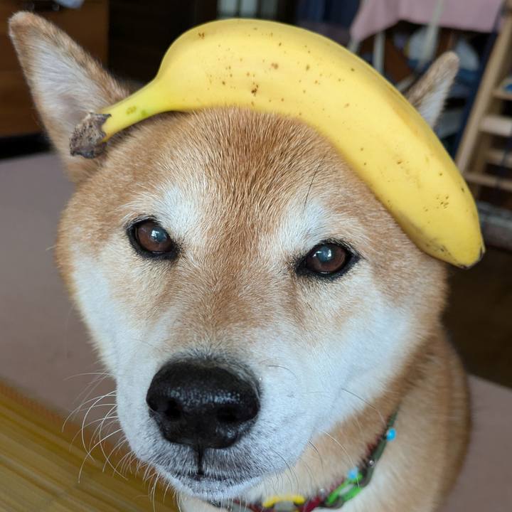 96a5ce7d 3f07 48d2 95d9 40be932ff75f 1754725153246