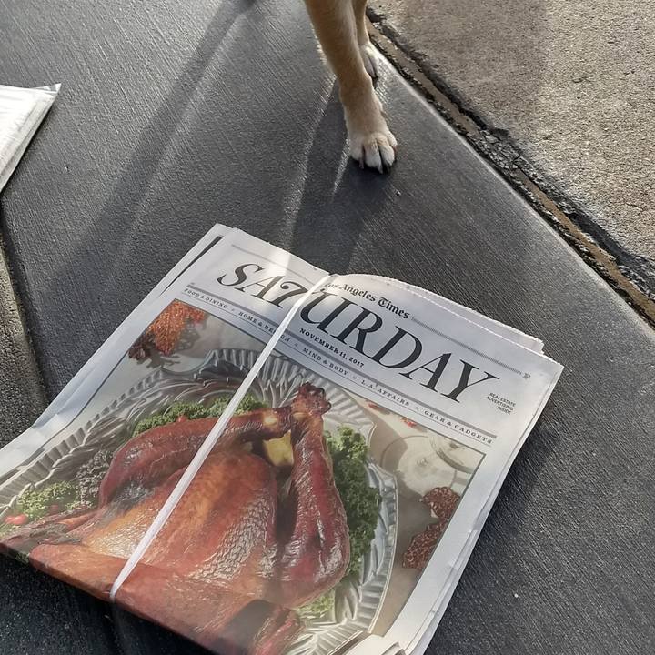 96a5cff2 7594 4402 b50e 7d5527e1016d 1510437777196