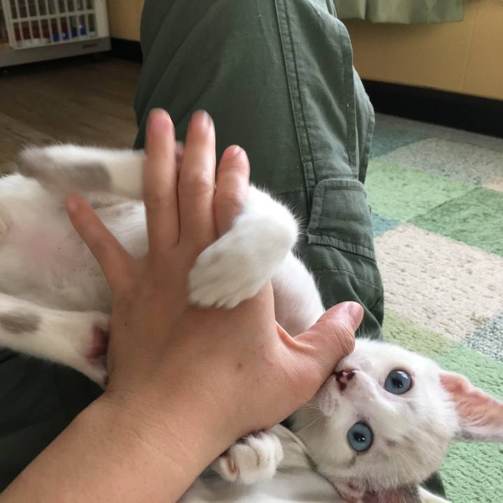 96a5d6ed 9346 45ae 9475 80c864972cfb 1532763154673