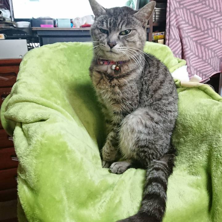 96a6182b 4dfb 4e91 8e1b 8bad3beadffb 1583877967105