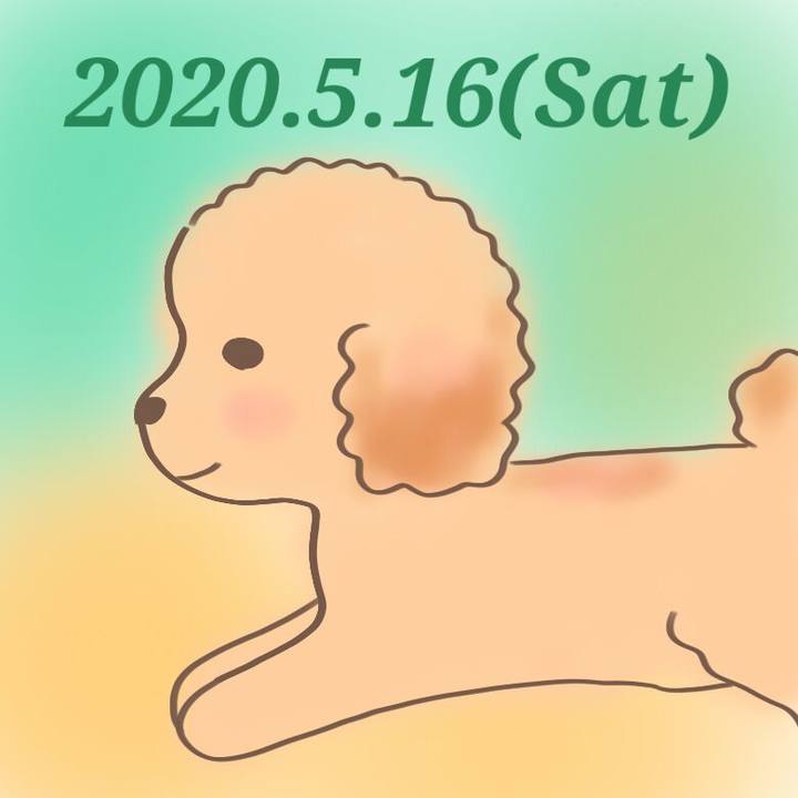 96a62a61 0a6a 486c af46 49ad6e8930b2 1589632779715