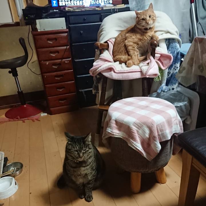 96a64124 0ef6 4067 b85c cef612cc4cc9 1643712528833