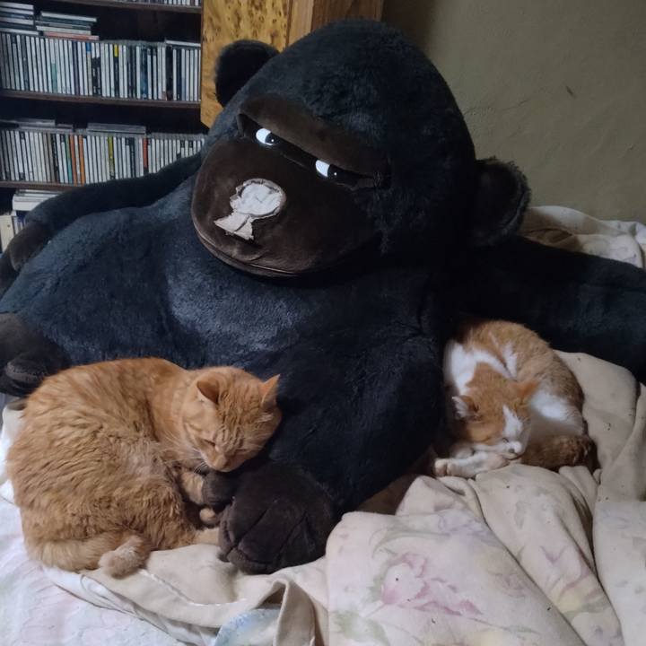 96a64406 3a2e 4a9e 8e81 c421dc7dbd58 1764744419754