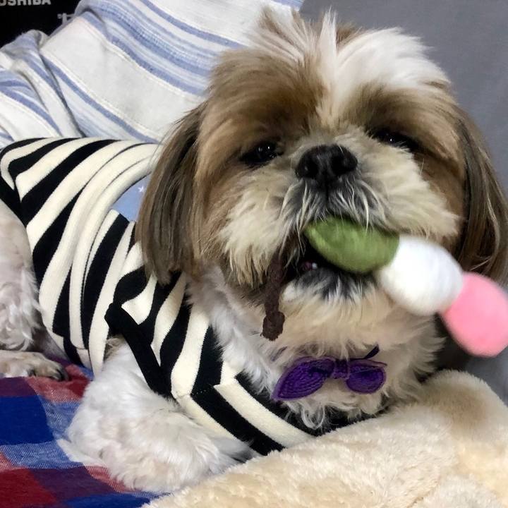 96a64d8f 3dad 4e96 9bc4 7e3e6d8d8e9b 1556446439319