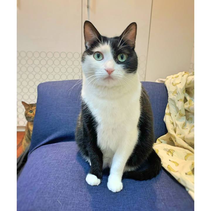 96a64dd6 9336 4703 b07e 51be60794afb 1579473220051