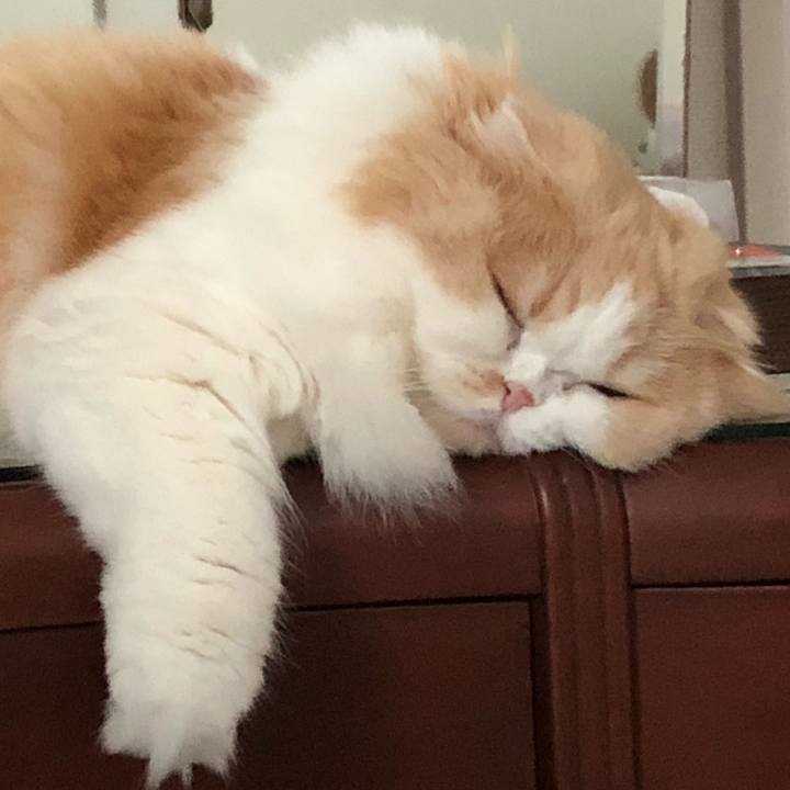 96a66710 3074 4b64 bf7e 50cf5b17881d 1601675986751