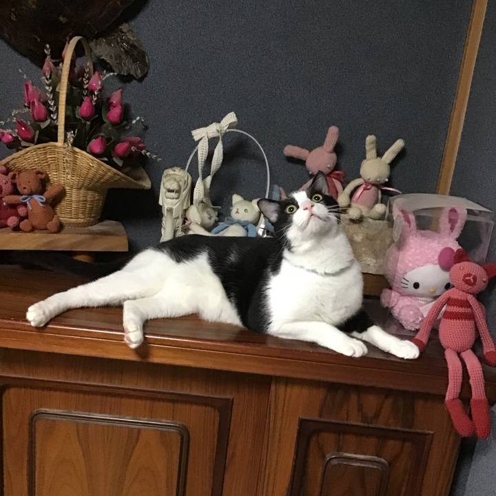 96a66aff 3fc1 4b4c 922a 83ee7bf04bd2 1694260871239