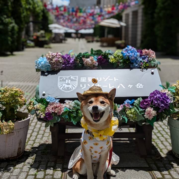 96a68fbd 9914 460c af57 3a77834d4545 1720327998414