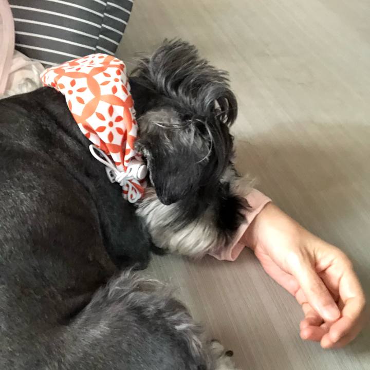 96a6b636 eeb2 4884 aa29 f3bd14fa2eca 1660192554017