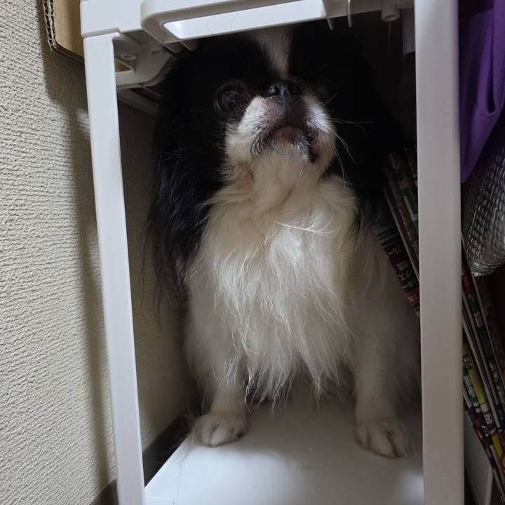 96a6e558 e193 4654 b6be 8002e2f51228 1750920904612