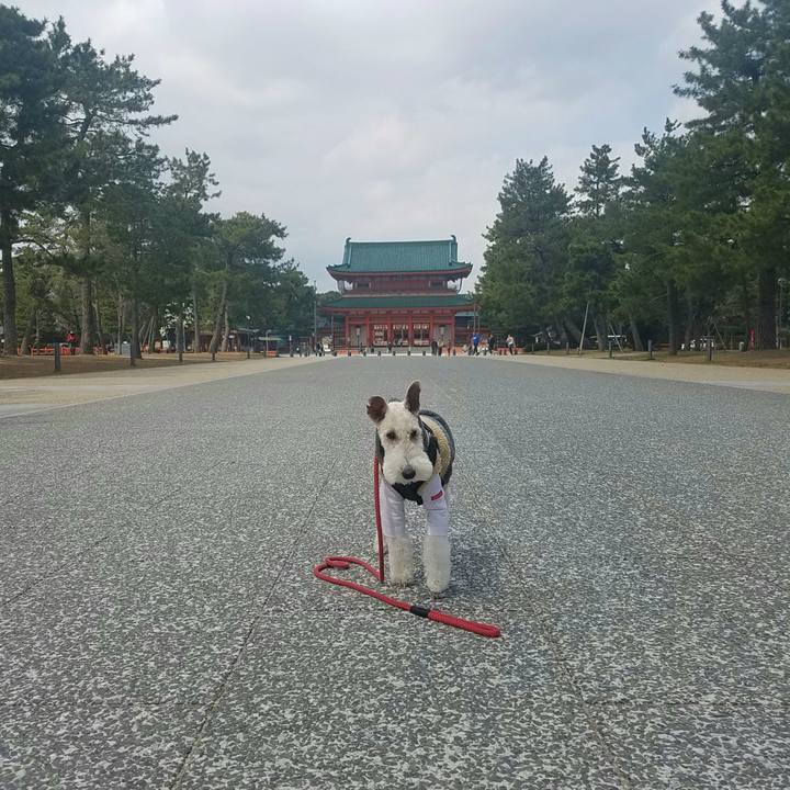 96a6f3d3 b7bc 4904 87c5 87a618b64654 1584255544611