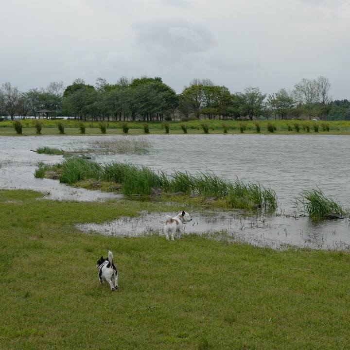 96a6f9dd ee7b 43ae 8928 8195a73a8979 1525490065206