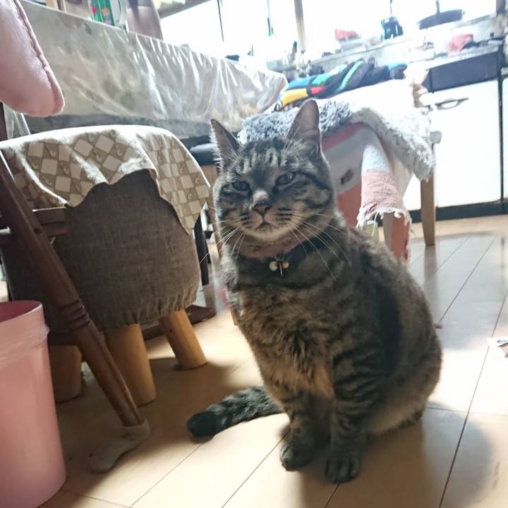 96a77090 5d56 4fbc a6e9 30ffbbff660b 1652992668670