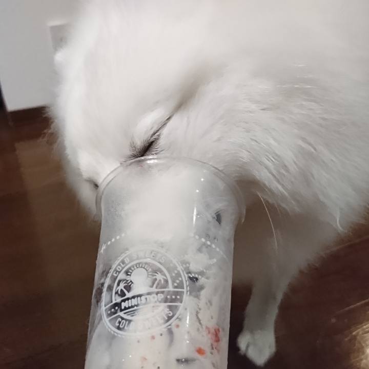 96a7a74a f005 4d1a 973f fcefbedf57dc 1562077319364