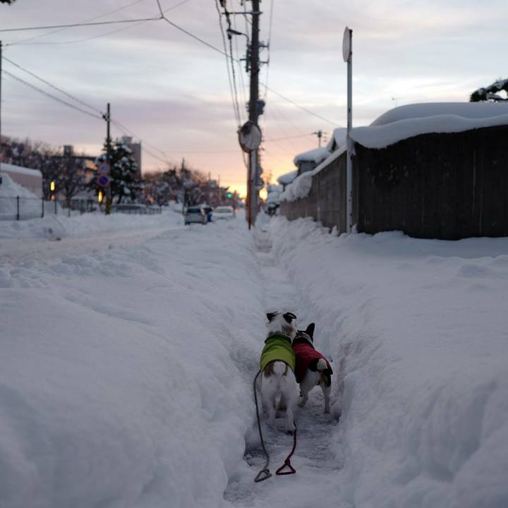 96a7ab25 109a 4e20 906e 1264971b940f 1515987467614