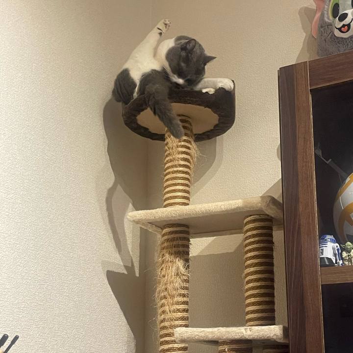 96a7ad5e c8be 4d09 bc89 e11ce0e149b5 1732708956187