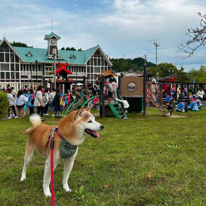 96a7b6e7 965d 4ed9 b300 e23a94331217 1760267106862