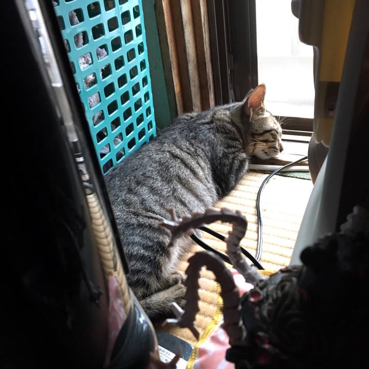 96a7c0d9 4bae 4113 acb1 ee5eb756e90d 1537773154347