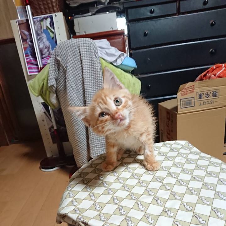 96a7e575 f0d6 4479 b77d 5876b9d6ebd8 1627850245912