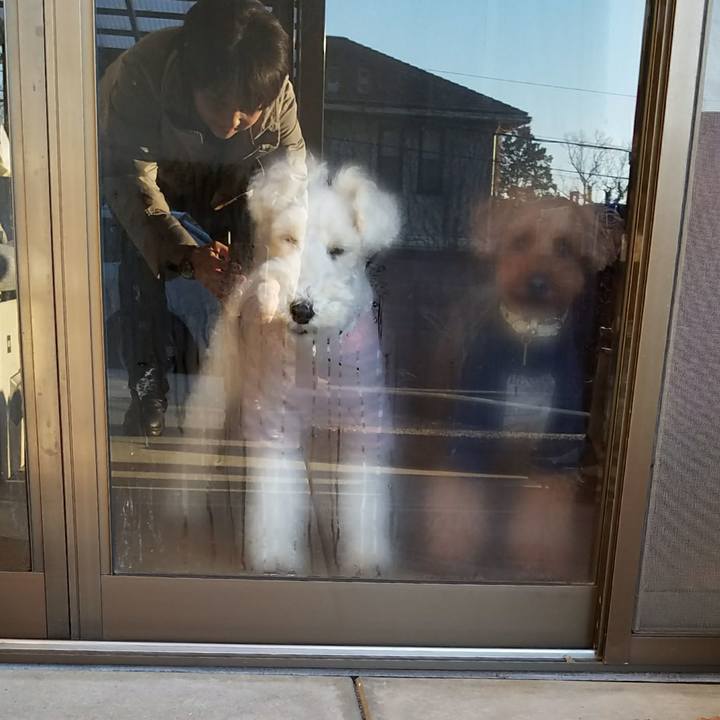 96a7e5bf 037c 451d 8c1b eb6914a94bc3 1515713235141