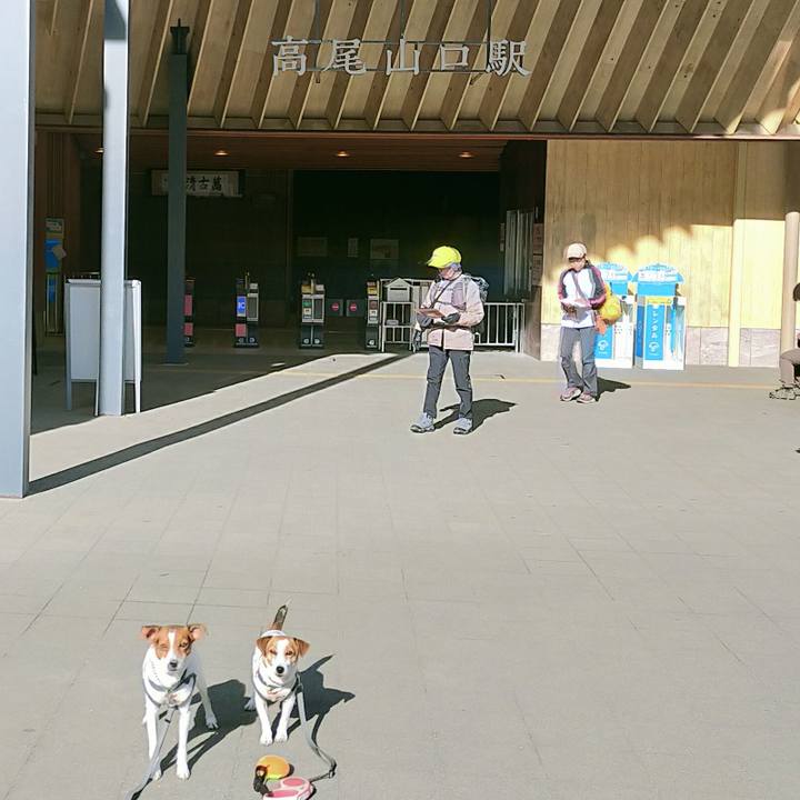 96a7fc54 8195 490d b0e7 4035d8dfb728 1761723987536