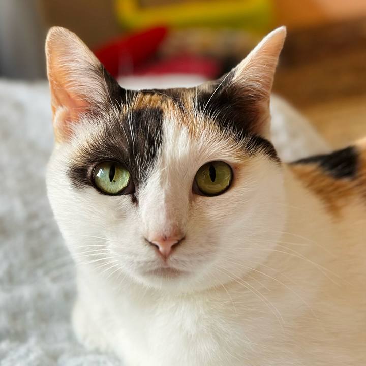 96a80f2e e80f 43fc b600 e21bd2ed2e90 1689642574255