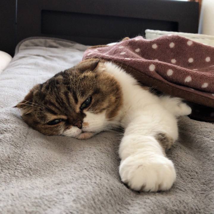 96a811dc 9c06 45c2 99cc 790ab572c01f 1541131535532