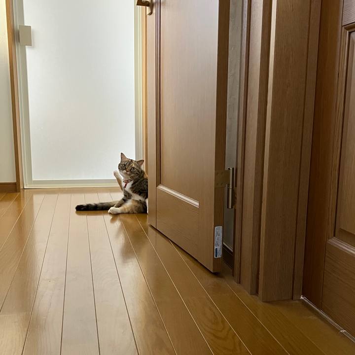 96a88247 4e28 40fe 894b 93daba66dcd1 1763950020508