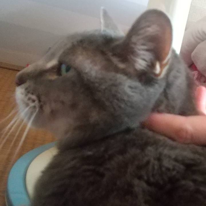 96a890a1 9c24 4459 b36d 391568370ade 1653971017384