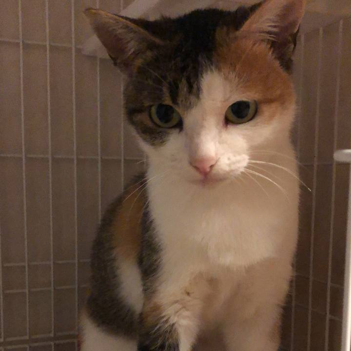 96a8a83a 15a6 4285 b297 6dabbdf36e05 1573402326719