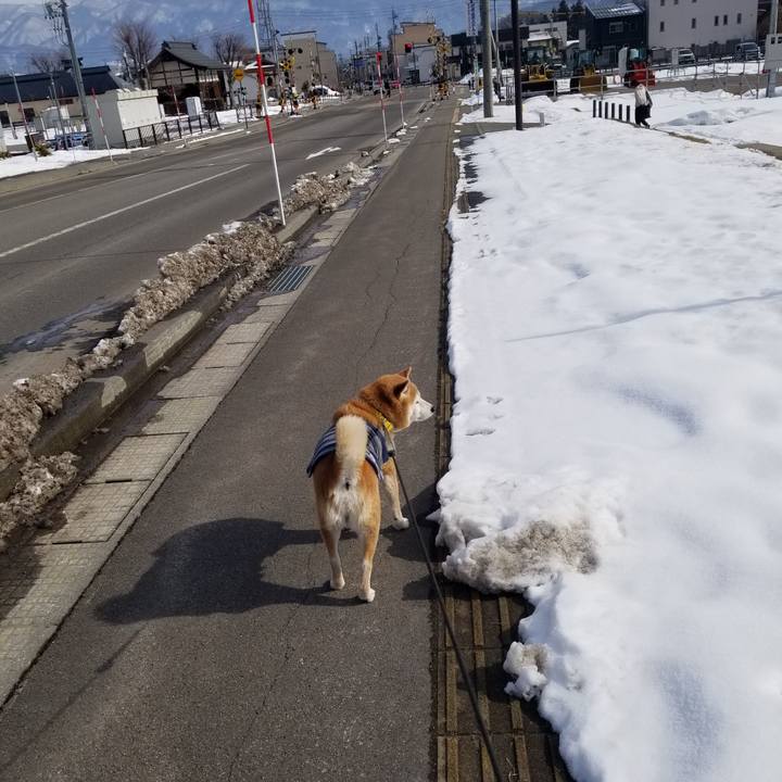 96a8b4ea efc6 4775 9a1f fd3abf09281d 1674444466867