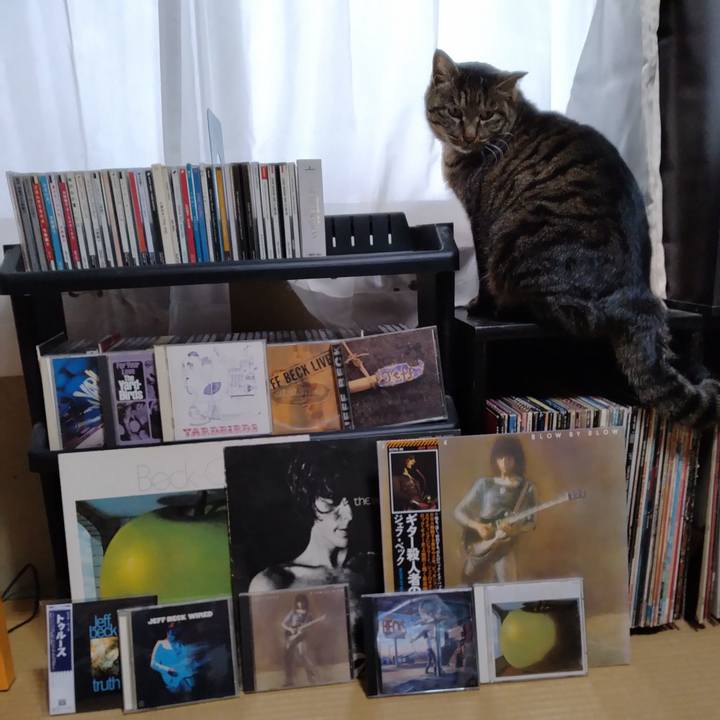 96a8ca2e 717e 4248 a8ca 8643852b9d9e 1673506259797