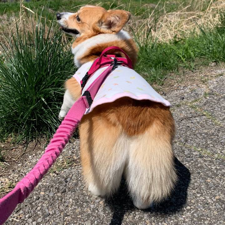 96a8cd05 2c64 4a3b 95ce 1faeac9b990b 1618029052449