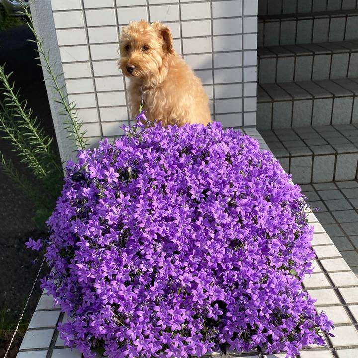 96a8d7f3 5e5f 4a13 807c 1acd219863f5 1623800049702