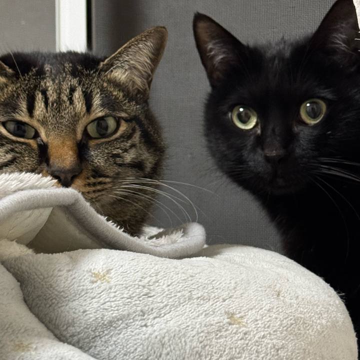 96a9013c ce30 49a8 8ffd f966f9d3b0cf 1742123568188