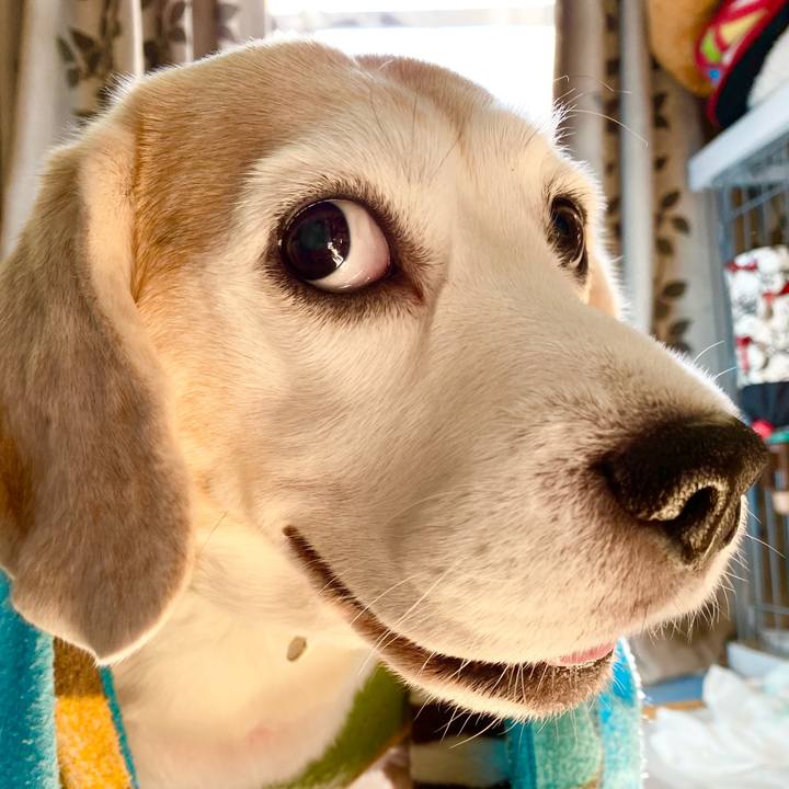 96a9214a 6bc1 49c7 9d1e f339959517f4 1607055483295