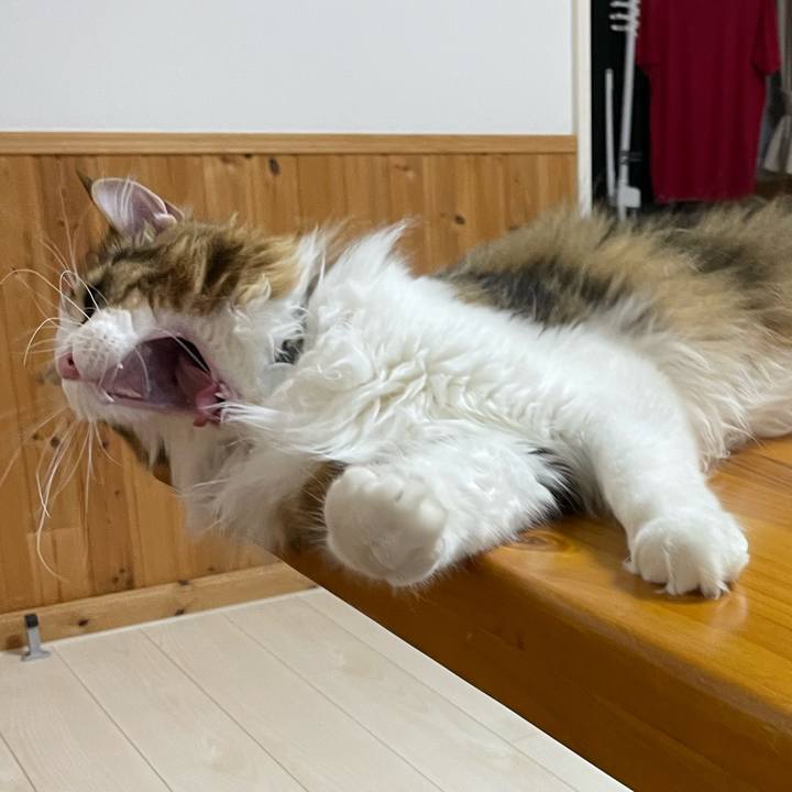 96a92640 9a5b 4989 9ba1 c55028f6b137 1653997977096