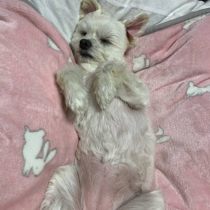 96a94ba7 2747 46d9 9ff4 c8fd34ae18ae 1584796909598