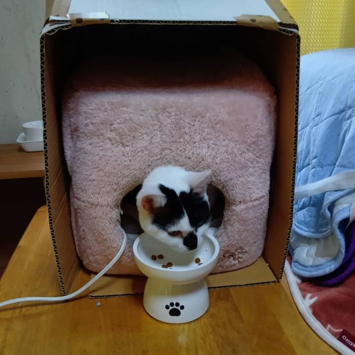 96a97976 0dd8 49cd b113 29f2f18a3df2 1763866752943