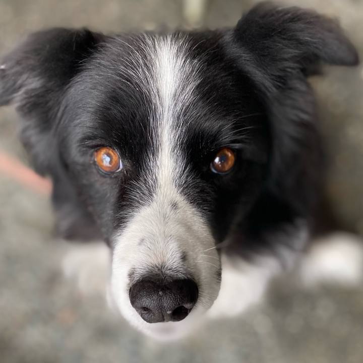 96a9872d 6e14 4044 bb71 95b516381ae9 1606692072256