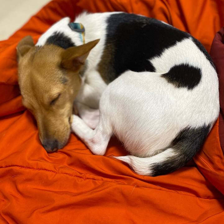 96a99486 62a8 4cdc b153 2c4eb4e3c3bb 1772580409269